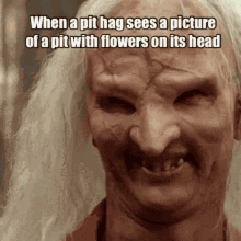 Pit Hang When A Pit Hang GIF - Pit Hang When A Pit Hang Flower S On Its Head GIFs