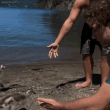 a man reaches out towards a duck on a beach with the hashtag margaritosgif