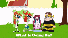 Johnny Test What Is Going On GIF - Johnny Test What Is Going On Whats Going On GIFs