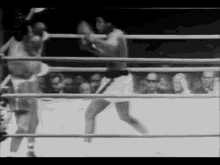 ملاكمة GIF - Boxing Box Muhammad Ali GIFs