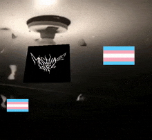a black square with a white logo on it is surrounded by transgender flags