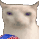 a close up of a white cat holding a blue and red item .