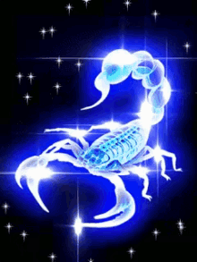 Scorpion GIF - Scorpion GIFs