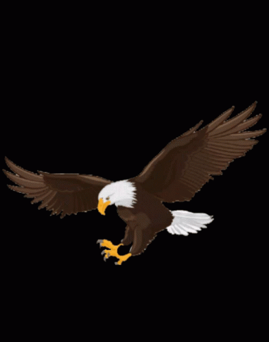 eagle transparent gif