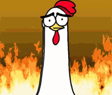 chicken chicken bro angry behind you fire