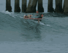 Dogs Dog Surfing GIF - Dogs Dog Surfing GIFs