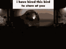 bird 1984