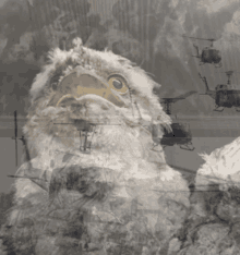 War Owl2 GIF - War Owl2 GIFs