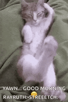 Lazy Cat GIF - Lazy Cat Stretching GIFs