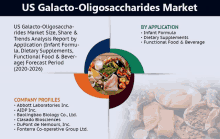 Us Galacto Oligosaccharides Market GIF - Us Galacto Oligosaccharides Market GIFs