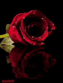 Roses Glitter GIF