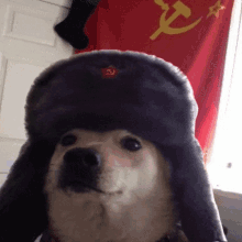 Dog Communism GIF - Dog Communism Communism Dog GIFs
