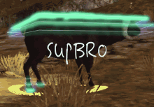 supbro wassup beam me up black sheep ram