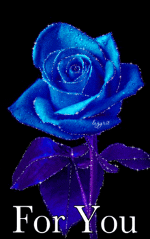 Blue Rose For You GIF - Blue Rose For You GIFs