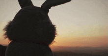 Bunny Goio GIF - Bunny Goio Sunset GIFs