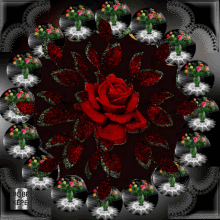 Szeretet Rose GIF - Szeretet Rose Flower GIFs
