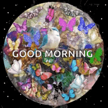 Good Morning Bird GIF - Good Morning Bird Sparkle GIFs