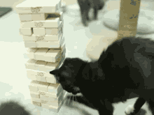Kitty Jenga GIF - Cat Jenga Play GIFs