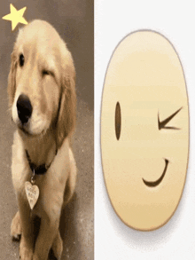 a dog with a tag that says good boy next to a smiley face