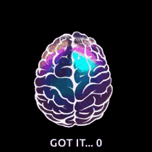Brain Mind GIF - Brain Mind Got It GIFs
