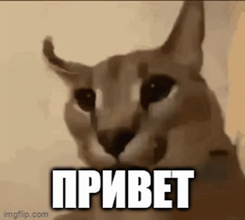 Floppa Memes GIF - Floppa Memes Big Russian Cat - Discover & Share