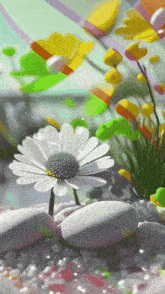 Good Morning Flowers GIF - Good Morning Flowers GIFs