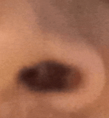 Nostil Nostrilflare Sheopard Nose GIF - Nostil Nostrilflare Sheopard Nose GIFs