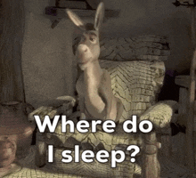 Donkey Donkey Shrek GIF - Donkey Donkey Shrek Where Do I Sleep GIFs
