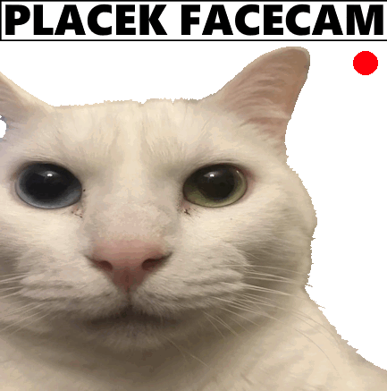 Placek Cat Placek All The Way Sticker - Placek Cat Placek Placek All The Way Stickers