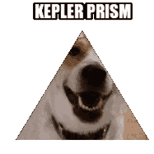 kepler the