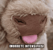 Morrete Intensifies GIF - Morrete Intensifies Cow GIFs