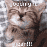 a kitten is sleeping with its eyes closed and the words goodnight jean written above it
