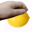 Aim The Lemon Lemon Pet Sticker