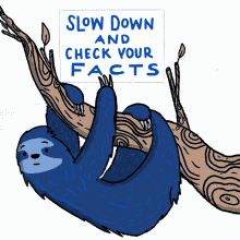 slow down and check your facts sloth misinformation fake news lies