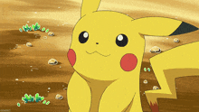 a cartoon pikachu is standing in the dirt