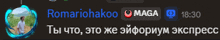 a screenshot of a video chat with the name romariohakoo on it