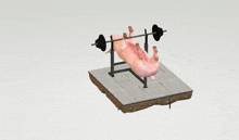 a pig is laying on a bench with a barbell on it