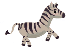 zebra truth and tales animal magic run