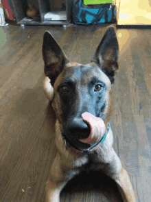 GIF