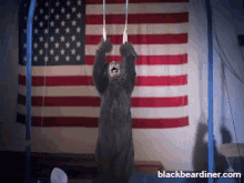 Bear Bears GIF - Bear Bears Gymnast GIFs