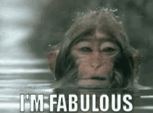 Im Fabulous Monkey GIF - Im Fabulous Monkey GIFs