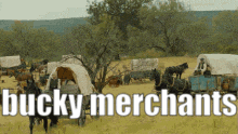 a bunch of horse drawn wagons in a field with the words bucky merchants in white letters