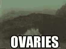 Ovaries Explosion GIF - Ovaries Explosion GIFs