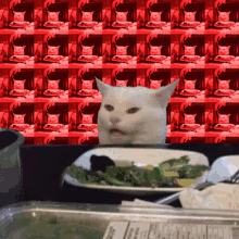 Smudge Smudge Cat GIF - Smudge Smudge Cat GIFs