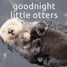 a couple of otters laying on top of each other with the words goodnight little otters on the bottom