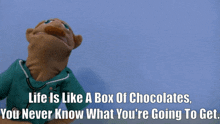 Sml Brookyln Guy GIF - Sml Brookyln Guy Life Is Like A Box Of Chocolates GIFs