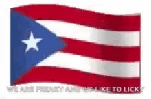 puerto rico flag waving