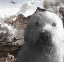 Dog War GIF - Dog War War GIFs