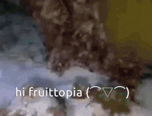 Fruittopia Fruittopia Rises GIF