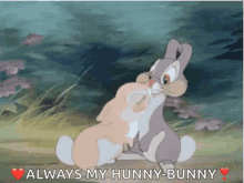 Thumper Kiss GIF - Thumper Kiss Love GIFs